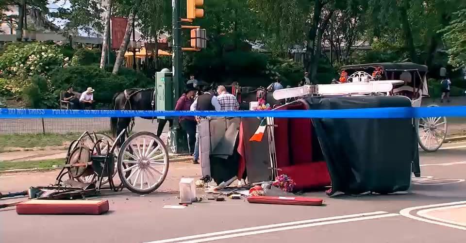 Central Park, turista muore cadendo da carrozza