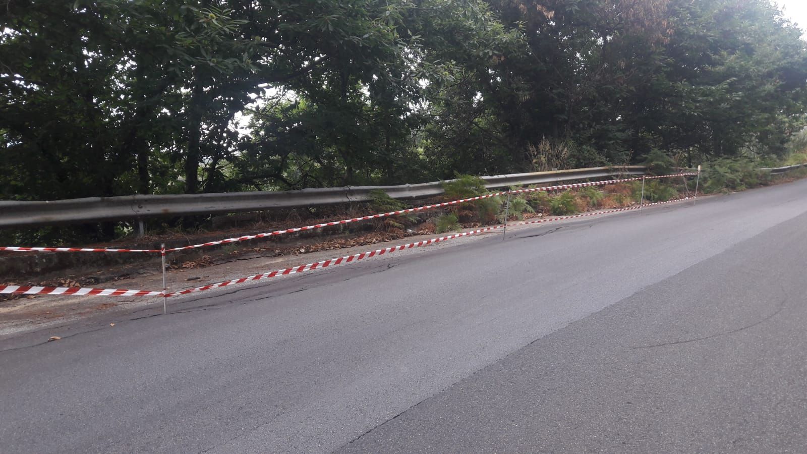 «Provinciale Vallefiorita-Cenadi-Olivadi, ecco come stanno le cose»