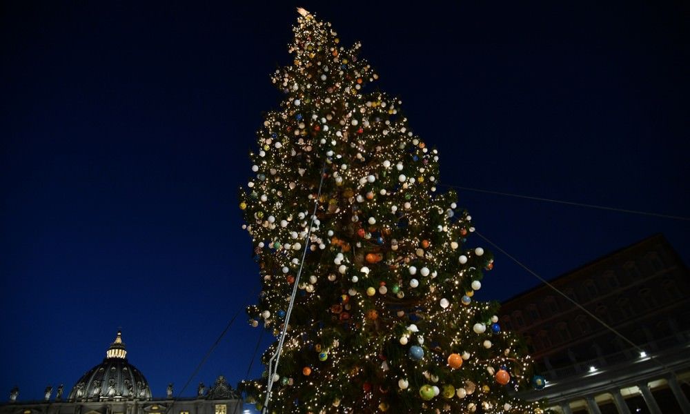 «Basta tagliare alberi maestosi per portarli in piazza San Pietro»