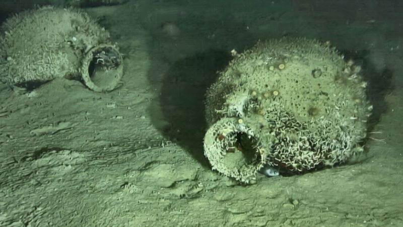 L’UniCal nel progetto “Altofondale” per lo studio e la valorizzazione del relitto di Monasterace