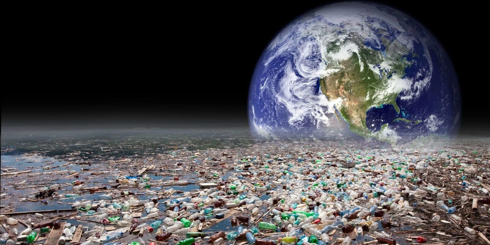 «L’insegnamento della pandemia: ciò che l’uomo fa alla Terra lo fa a sé stesso»