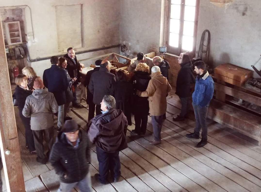 Giornata mondiale dell’ulivo, a Caccuri l’evento “Olea” fondamento di identità mediterranea