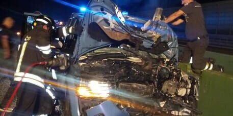 Mucca attraversa la tangenziale, poliziotti feriti a Torino