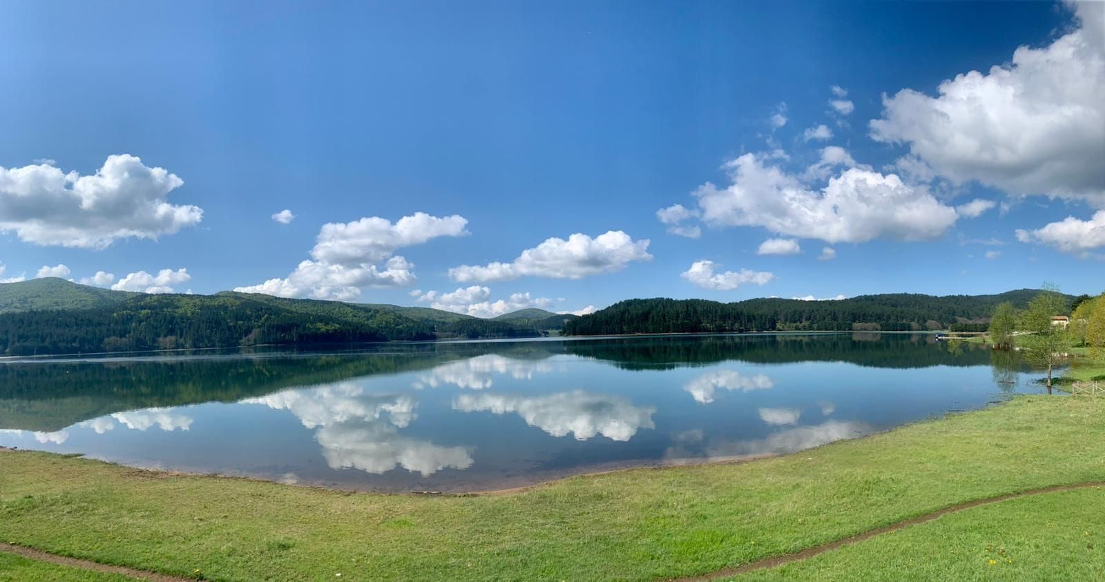 Aree protette, Occhiuto designa i componenti del Comitato tecnico-scientifico – NOMI