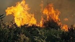 Rogo nel Crotonese, lambito l'Osservatorio astronomico