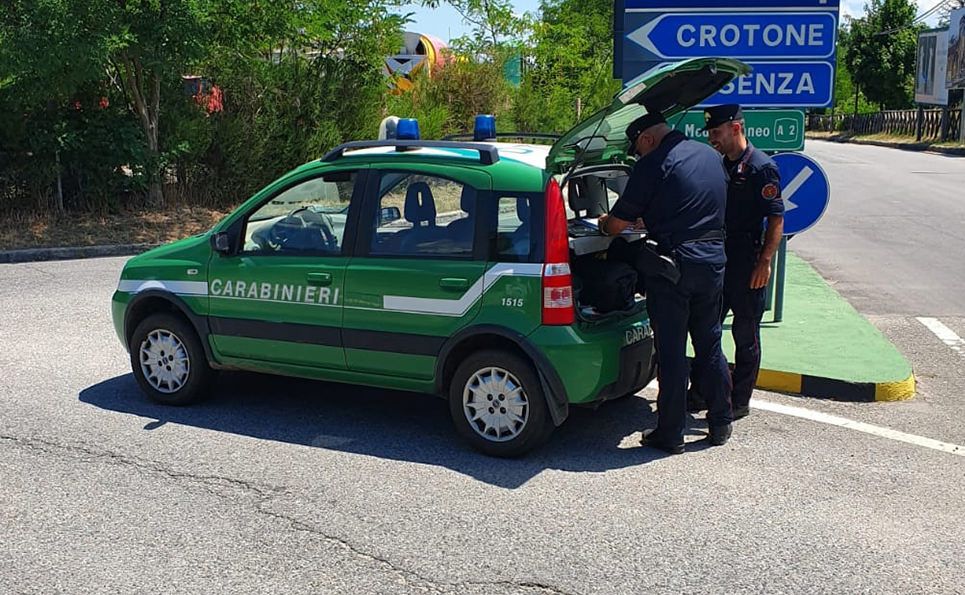 Proprietario di un frantoio smaltiva rifiuti speciali, denunciato