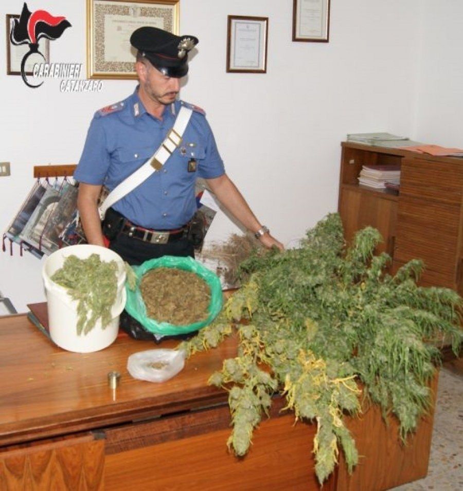 Laboratorio di marijuana a Chiaravalle, arrestato 50enne