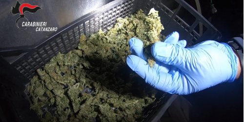 operazione droga catanzarese