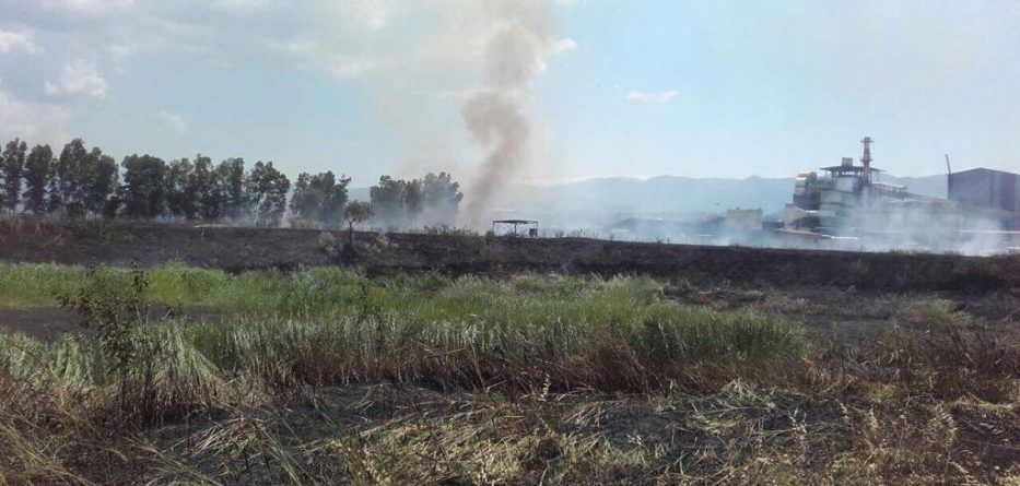 Ex Legnochimica di Rende, condannato l’ex liquidatore Pasquale Bilotta