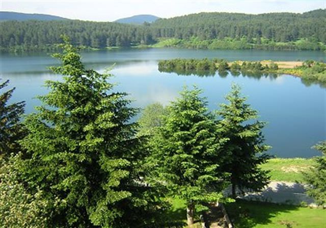 Parco della Sila, ecco la partnership con la riserva di Djerdap