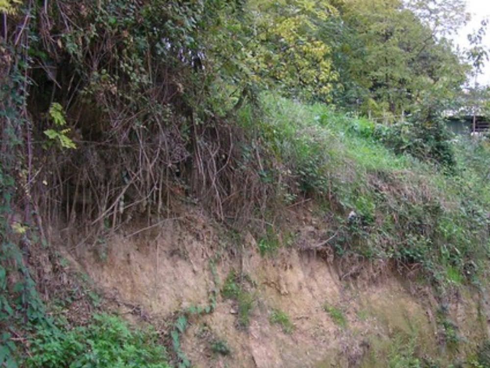 Ottantasettenne precipita in un burrone, albero rallenta la caduta