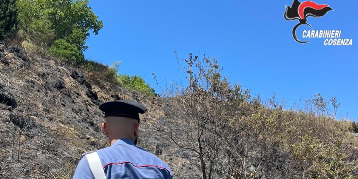 Cleto, sorpreso ad appiccare un incendio: arrestato dai carabinieri