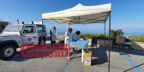 TEST RAPIDI FALERNA COVID