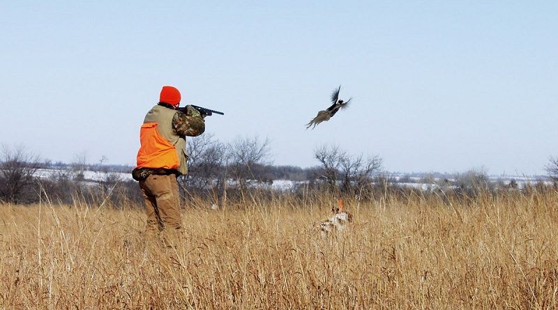 Parco Nazionale d'Aspromonte, arrestati tre cacciatori di frodo