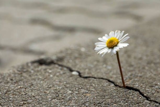 Per l’anno che verrà… organizziamo la speranza