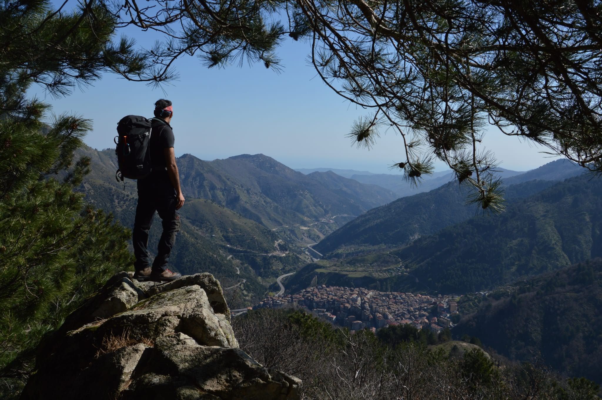 I calabresi, la sanità e il potere