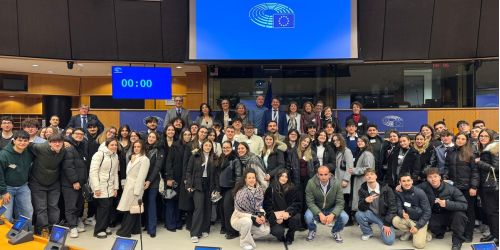 tridico parlamento ue