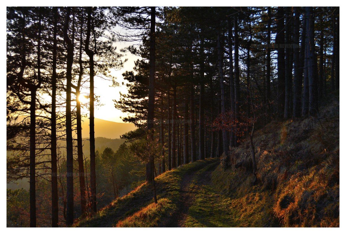 In mostra a Platania “I paesaggi del Reventino”