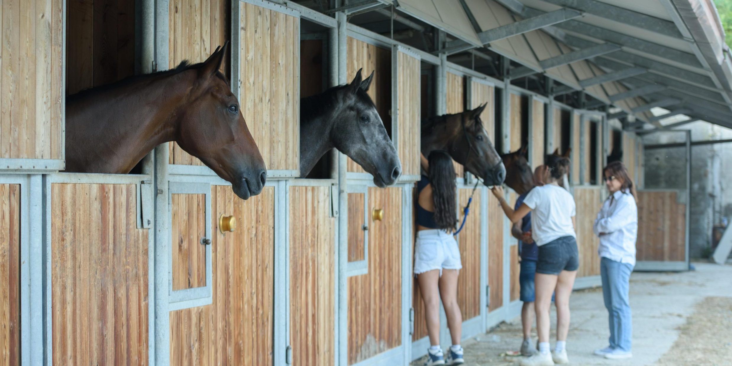 Valle dei Mulini, grande successo per “The Summer Affair” e per il Circuito Allevatoriale Masaf