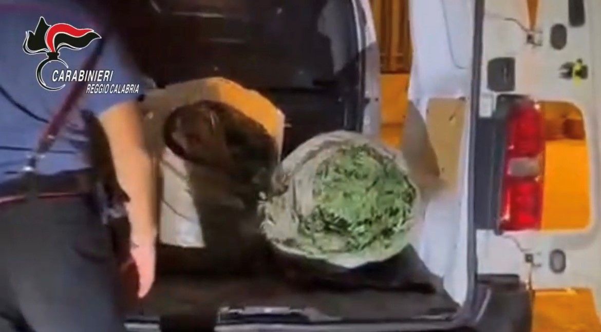 Nascondeva 72 chilogrammi di marijuana nel furgone, arrestato 26enne nel Reggino – VIDEO