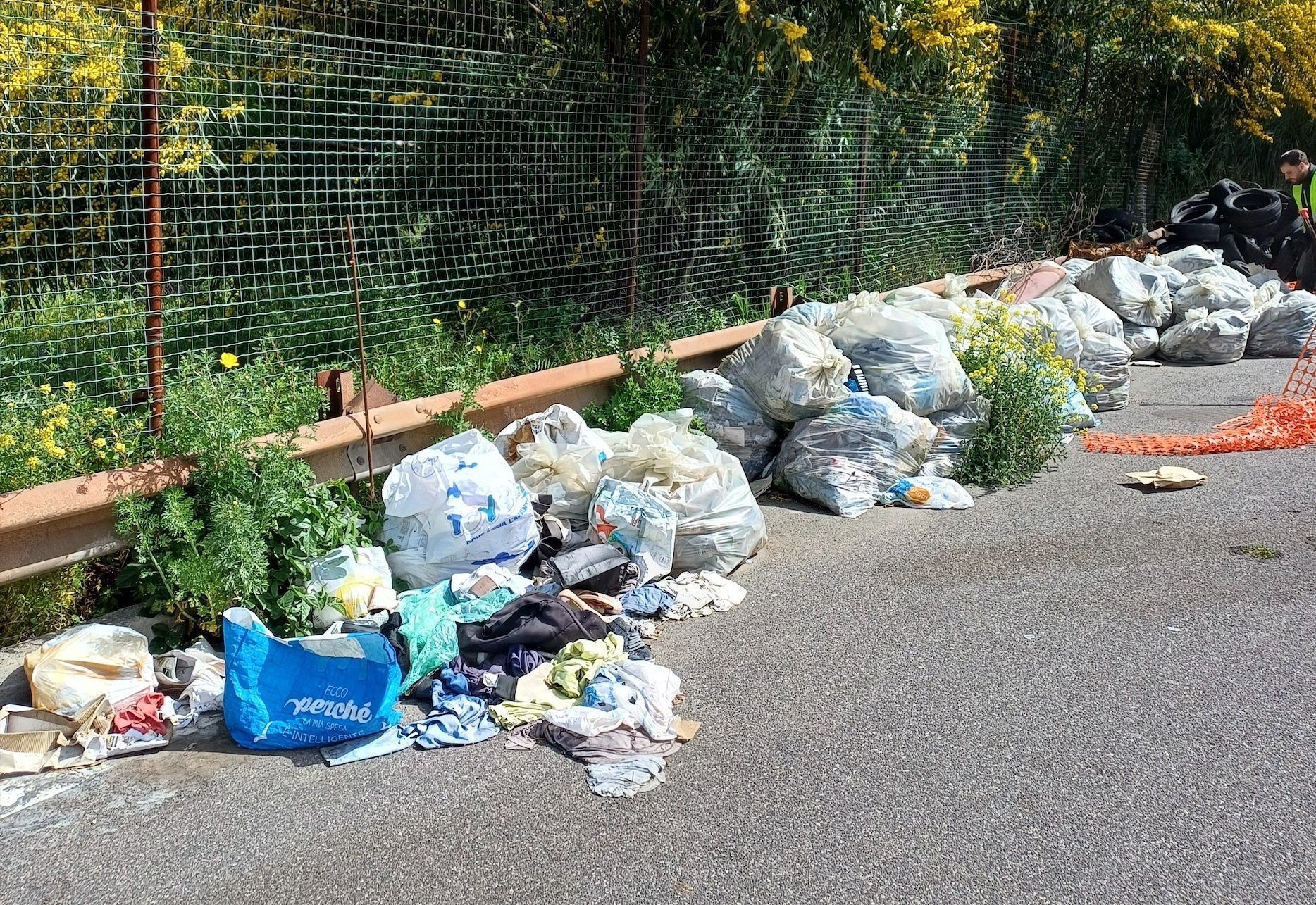 Rifiuti abbandonati a Catanzaro, Anas avvia la bonifica della “Due Mari” e della SS 109 Bis – VIDEO