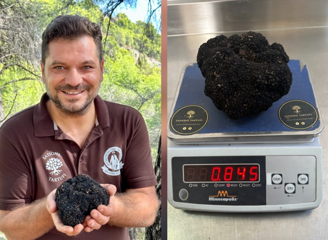 Tartufo da record scoperto in Calabria: pesa più di 800 grammi