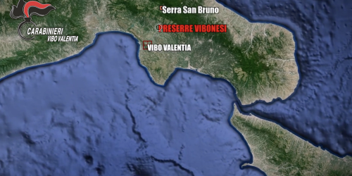 arresti vibo