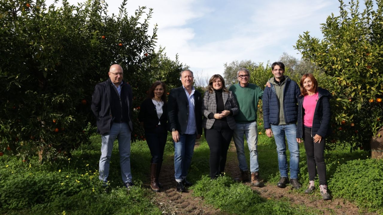 Martedì la presentazione del nuovo disciplinare di produzione per le clementine di Calabria Igp