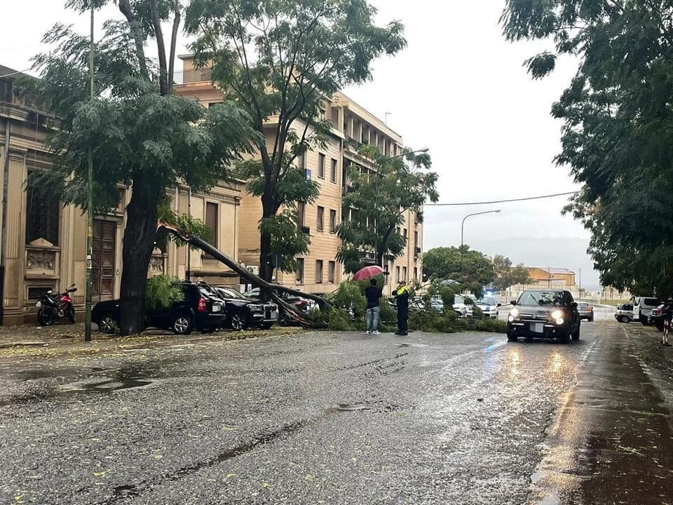 Maltempo, a Reggio Calabria allagamenti e un albero caduto. A Scilla massi sulla strada
