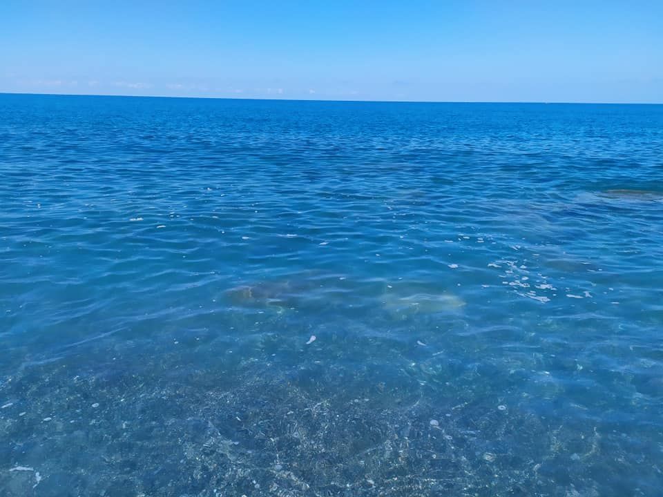 Chiazze marroni sulla costa, il Comune di Falerna: «Acqua eccellente, sono sostanze naturali»