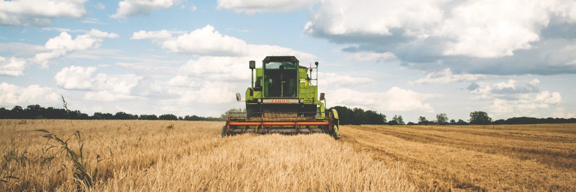 Carbon farming, Confagricoltura: «Premiare le imprese virtuose»
