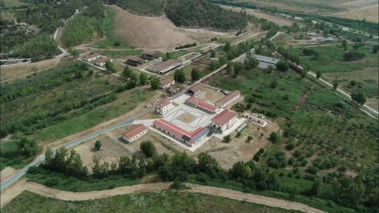 Catanzaro, assegnati 260mila euro al Crisea