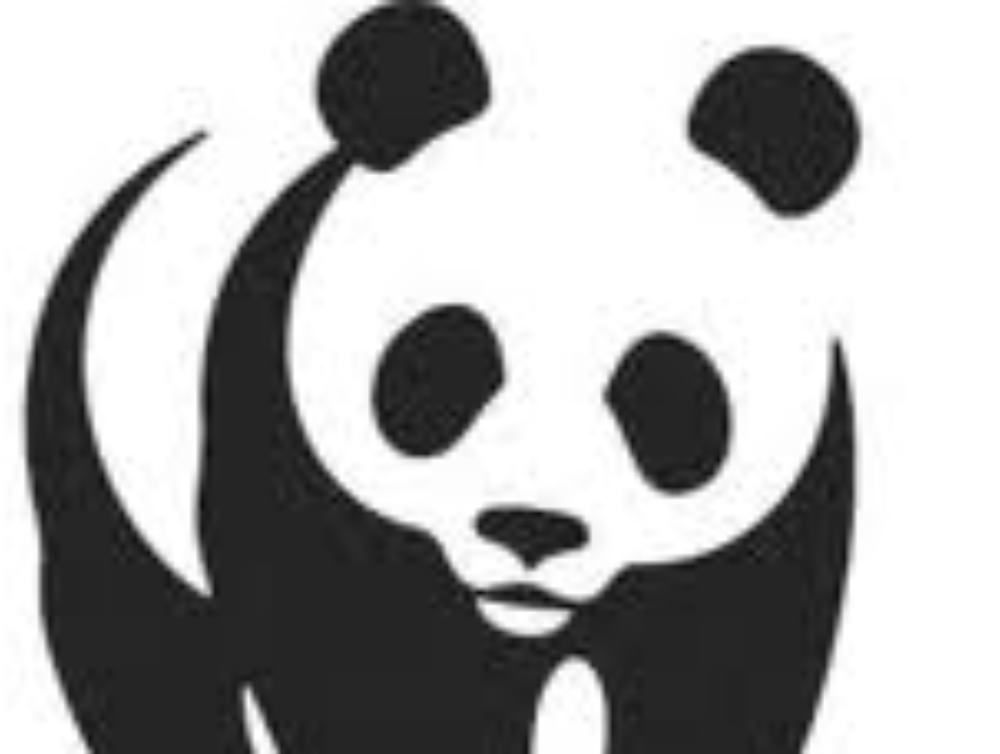 Illeciti ambientali, l`analisi del Wvf