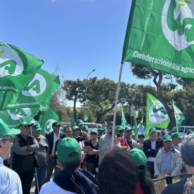 Agricoltura in Calabria, Cia proclama lo stato di agitazione: «A rischio la sopravvivenza del settore»