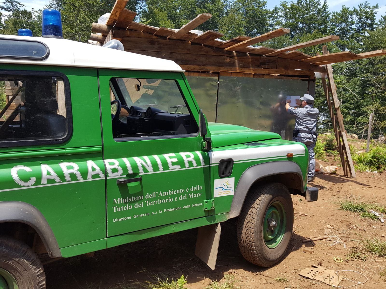 Lavori abusivi nel Parco d’Aspromonte, sigilli a un terreno di 15mila metri quadrati