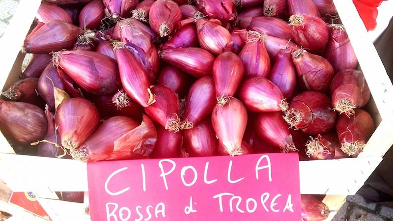 A rischio il raccolto della cipolla di Tropea