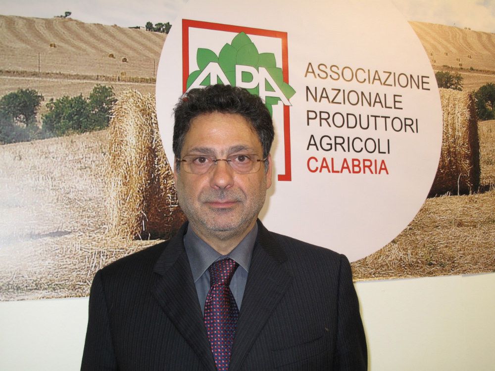 Rappresentanza in agricoltura, Mangone: i conti non tornano