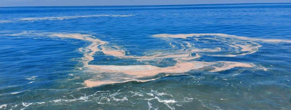 Mare sporco nel Lametino, affondo ai sindaci di Falerna e Gizzeria: «Si occupino della maladepurazione»