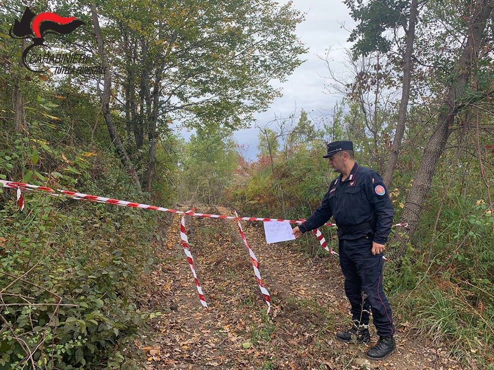 Grisolia, sequestrata un'area boschiva di due ettari
