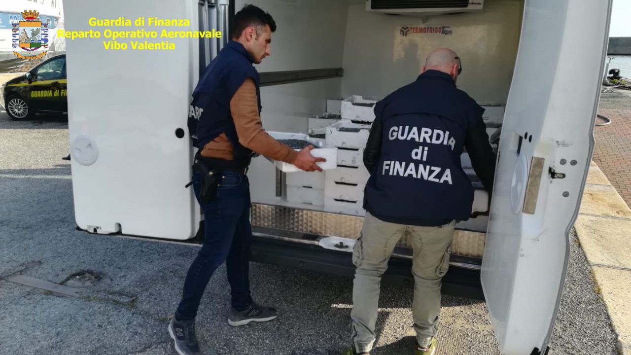 Crotone, sequestrati più di 5 quintali di "bianchetto"