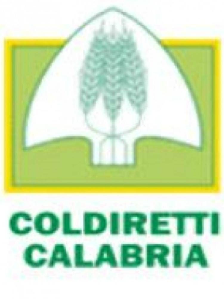 Sit-in Coldiretti, raggiunta un'intesa