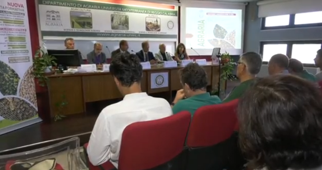 Università “Mediterranea”, nuova offerta formativa ad Agraria – VIDEO