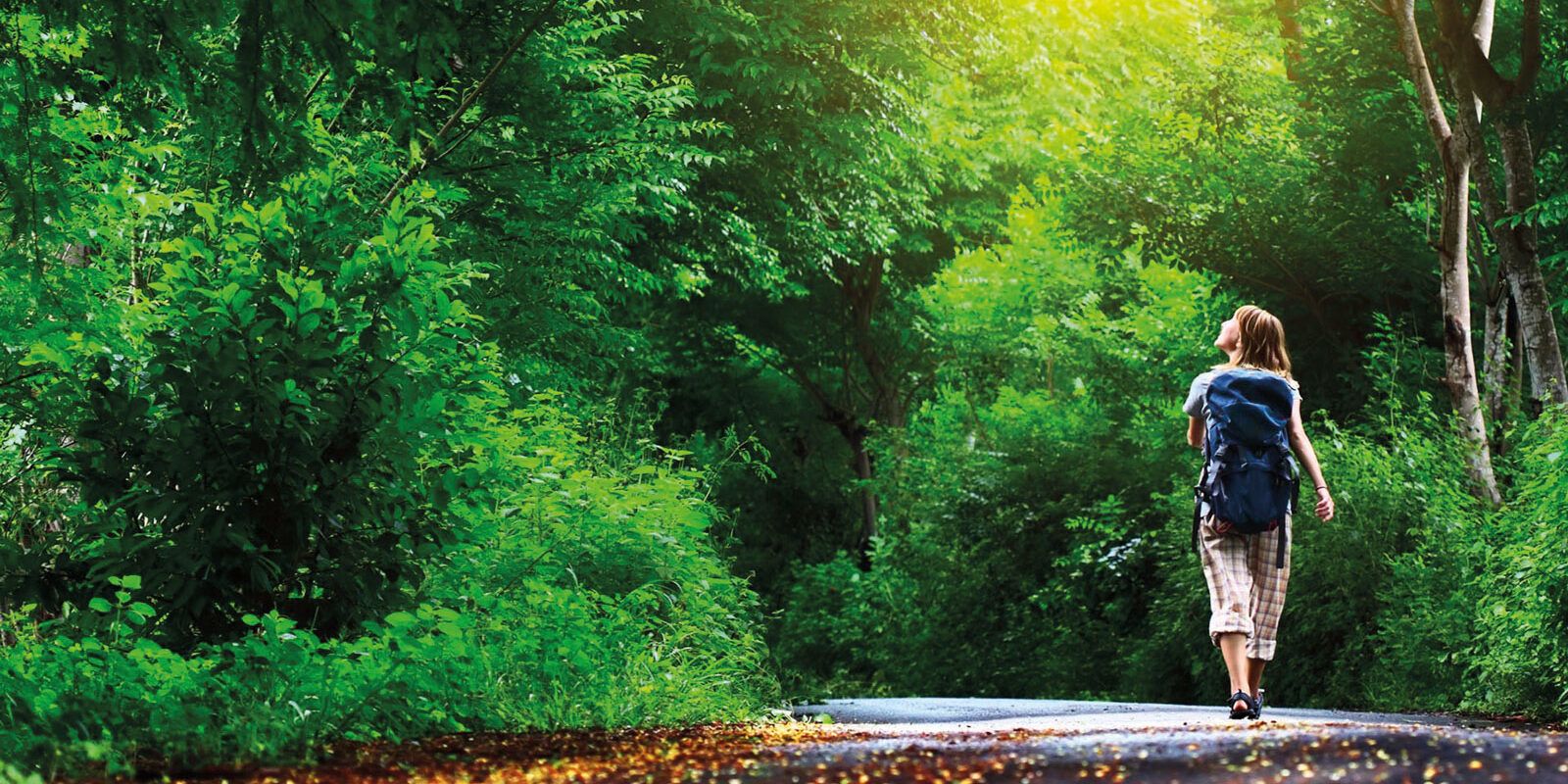 La Foresta Terapia approda anche in Calabria