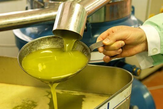 Truffa all’Ue, tutta la produzione di olio al setaccio