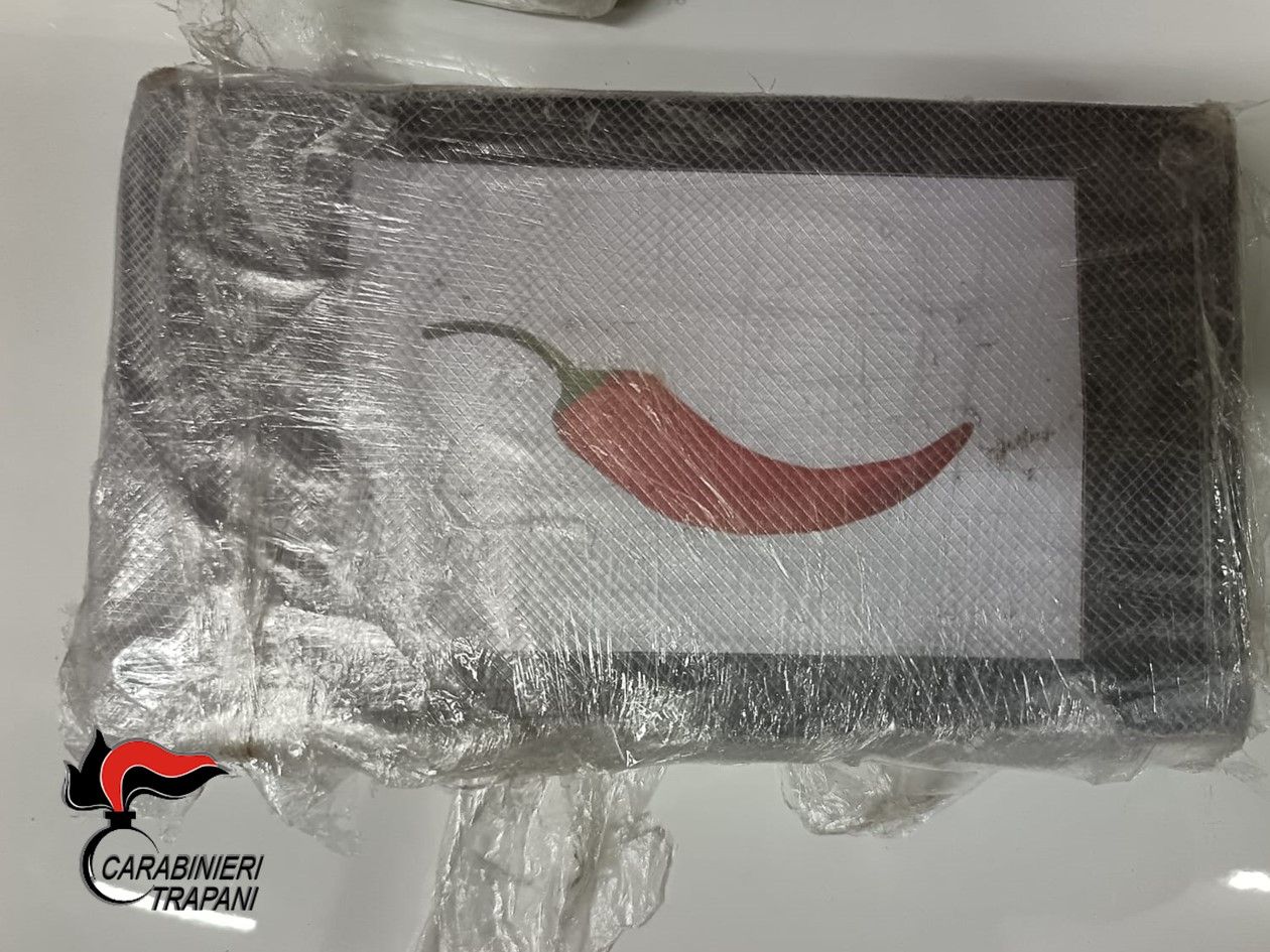 In trasferta in Sicilia con 3,5 chili di cocaina: beccati due calabresi