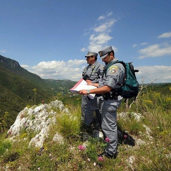 Parco del Pollino, gli incendi distruggono 200 ettari all'anno