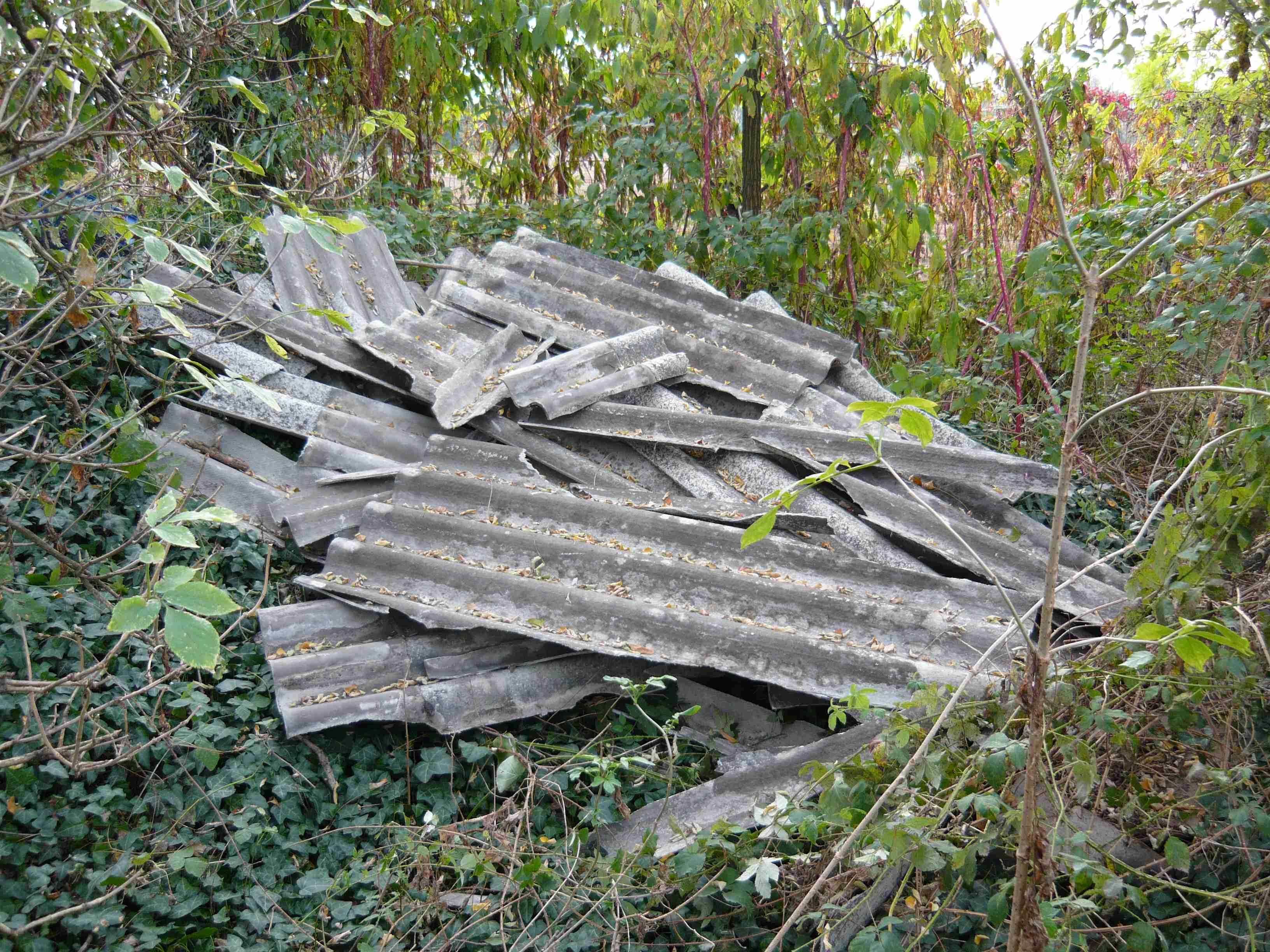 Amianto, scoperta discarica abusiva nel Parco d'Aspromonte