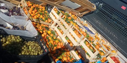 crotone-sequestro-ortofrutta