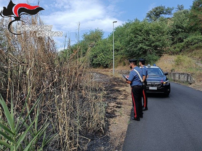 Appicca un incendio ma un carabiniere la vede: 68enne arrestata nel Cosentino – VIDEO