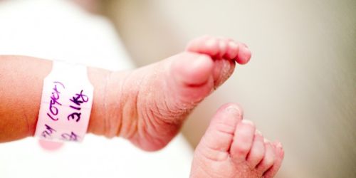 tasso natalità calabria povertà demografica